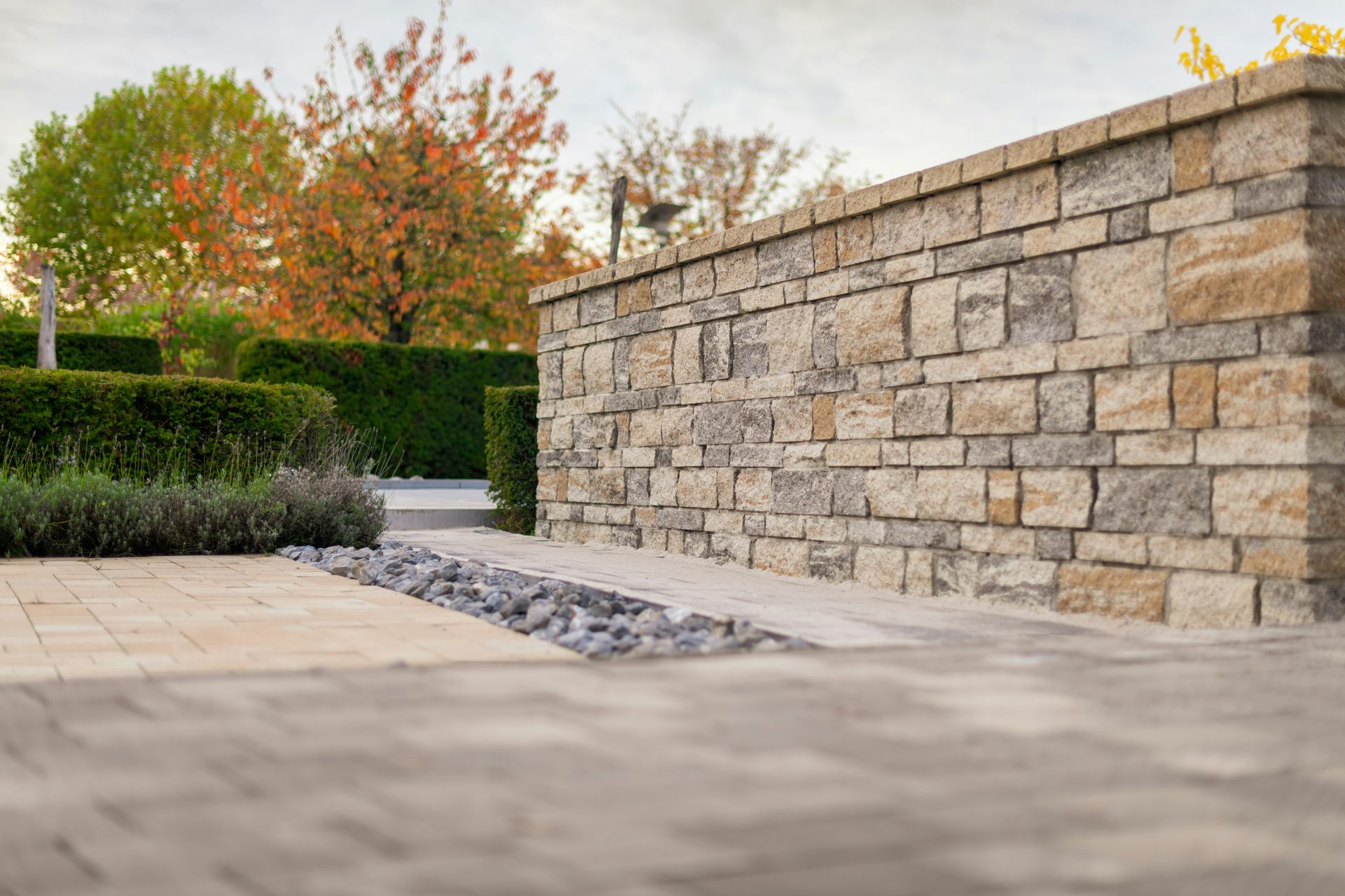 Stone wall with autumn trees and manicured hedges