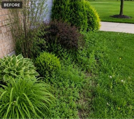 Before and after example - before