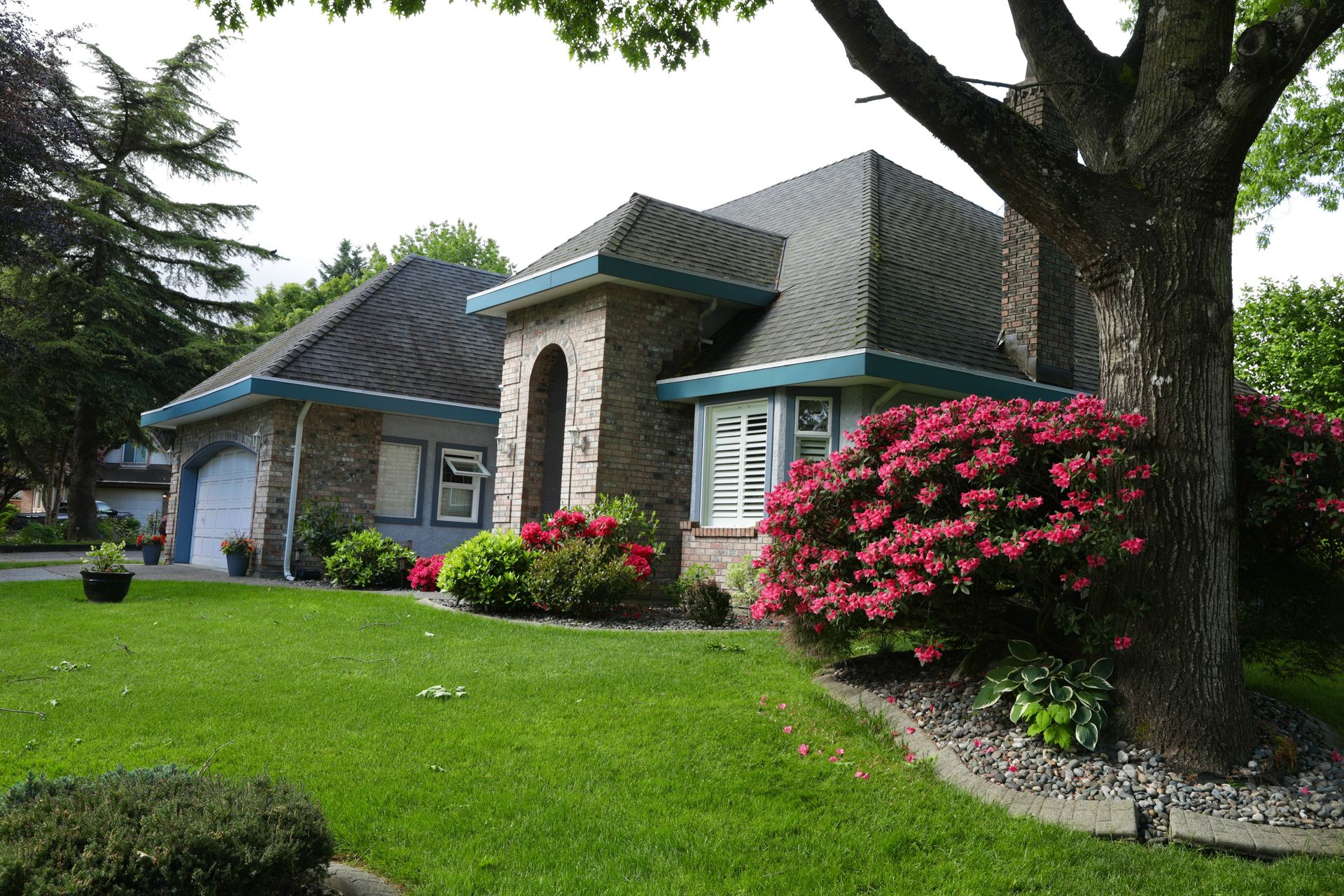 A house with a green lawn and red flowering bushes.